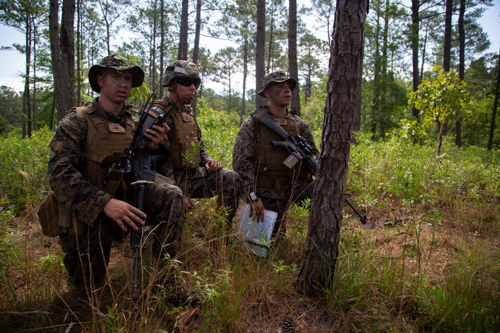 Combat Skills Program