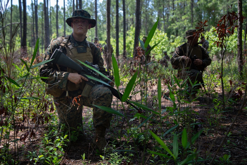 Combat Skills Program
