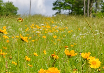 The buzz around Patoka Lake is that pollinators are an important part of nature