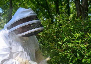 The buzz around Patoka Lake is that pollinators are an important part of nature
