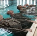 Hotel Company Swim Qualification