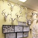 Former air traffic controller loves being wildlife biologist