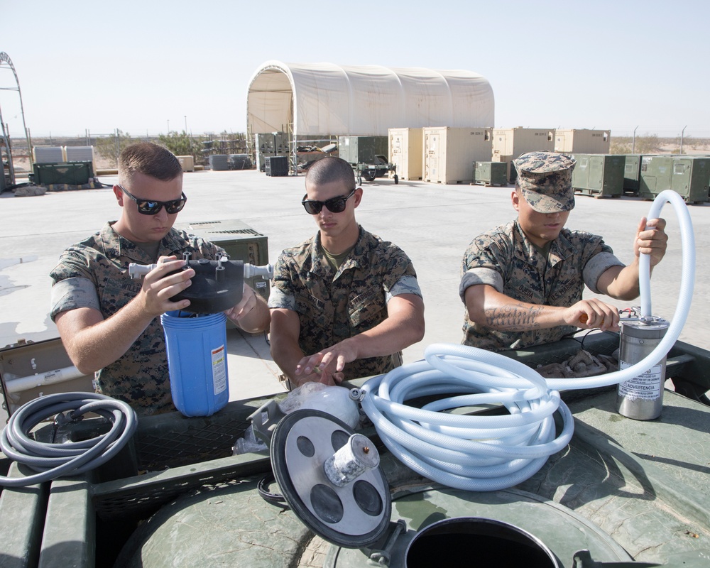 Water Dogs from MWSS-371