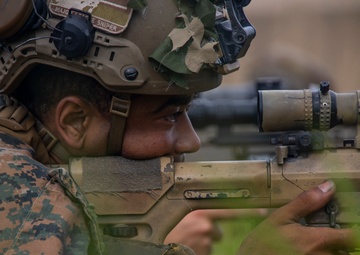 Rounds Down Range