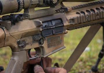 Rounds Down Range