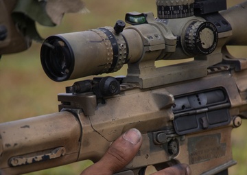 Rounds Down Range