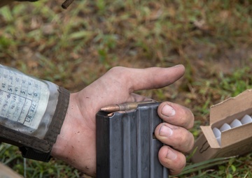 Rounds Down Range