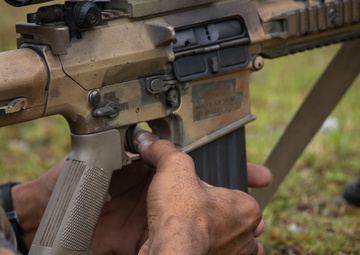 Rounds Down Range