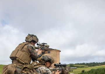 Rounds Down Range