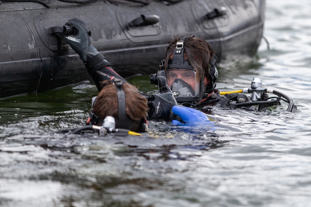Latvian navy divers conduct training