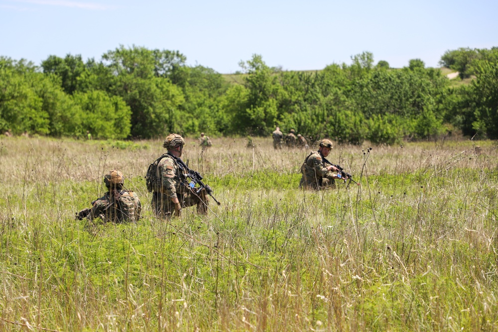 Field exercise promotes cooperation between military branches