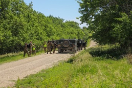 Field exercise promotes cooperation between military branches