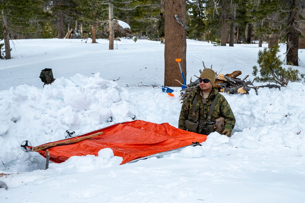 Marines train in cold weather survival