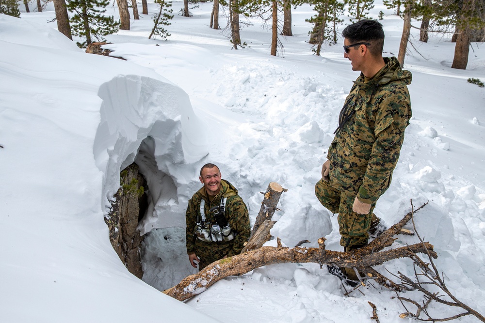 Marines train in cold weather survival