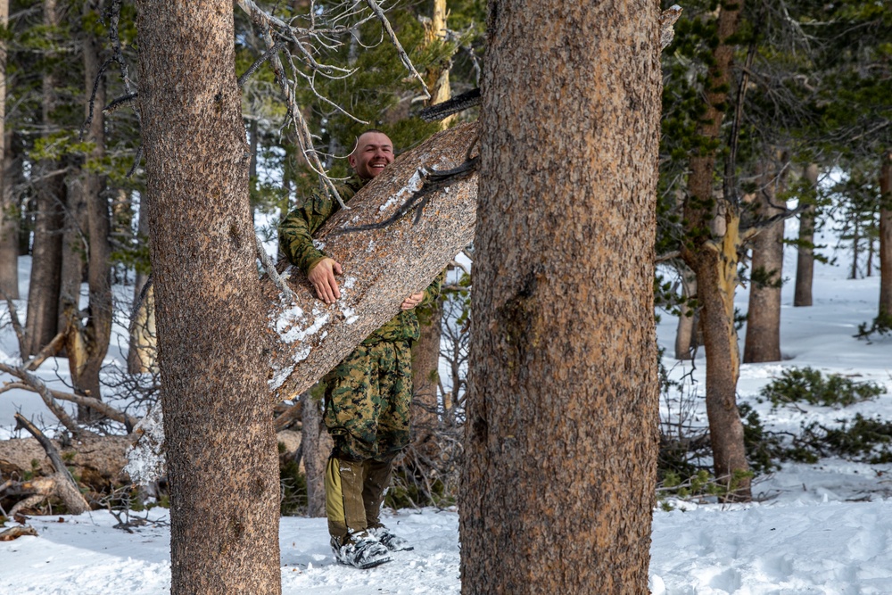 Marines train in cold weather survival