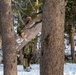 Marines train in cold weather survival