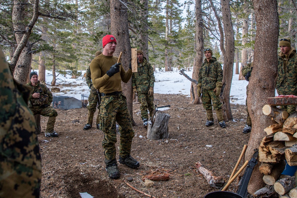 Marines train in cold weather survival