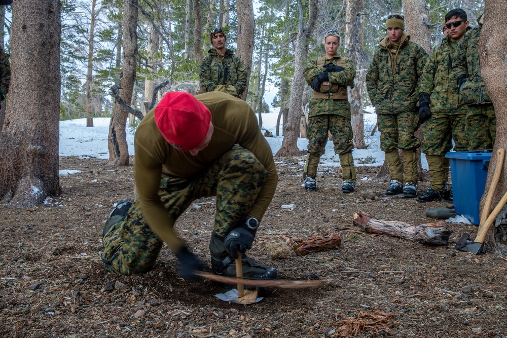 Marines train in cold weather survival