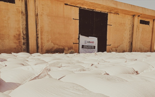 50Kgs bags of seed ready for distribution