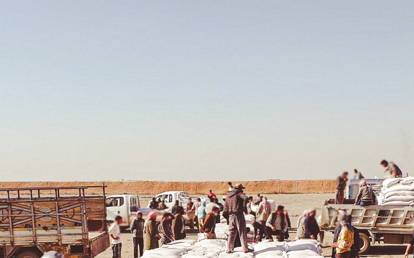 Ya'aroubyah, Farmers loading USAID treated wheat seed at the distribution site