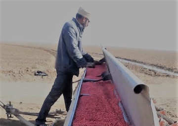 Seeds arrived and loaded into a seed planter