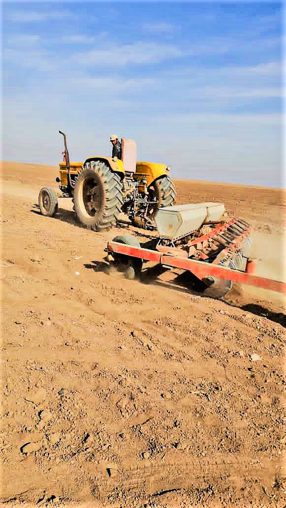 Tractor begins planting seeds in Northeastern Syria.