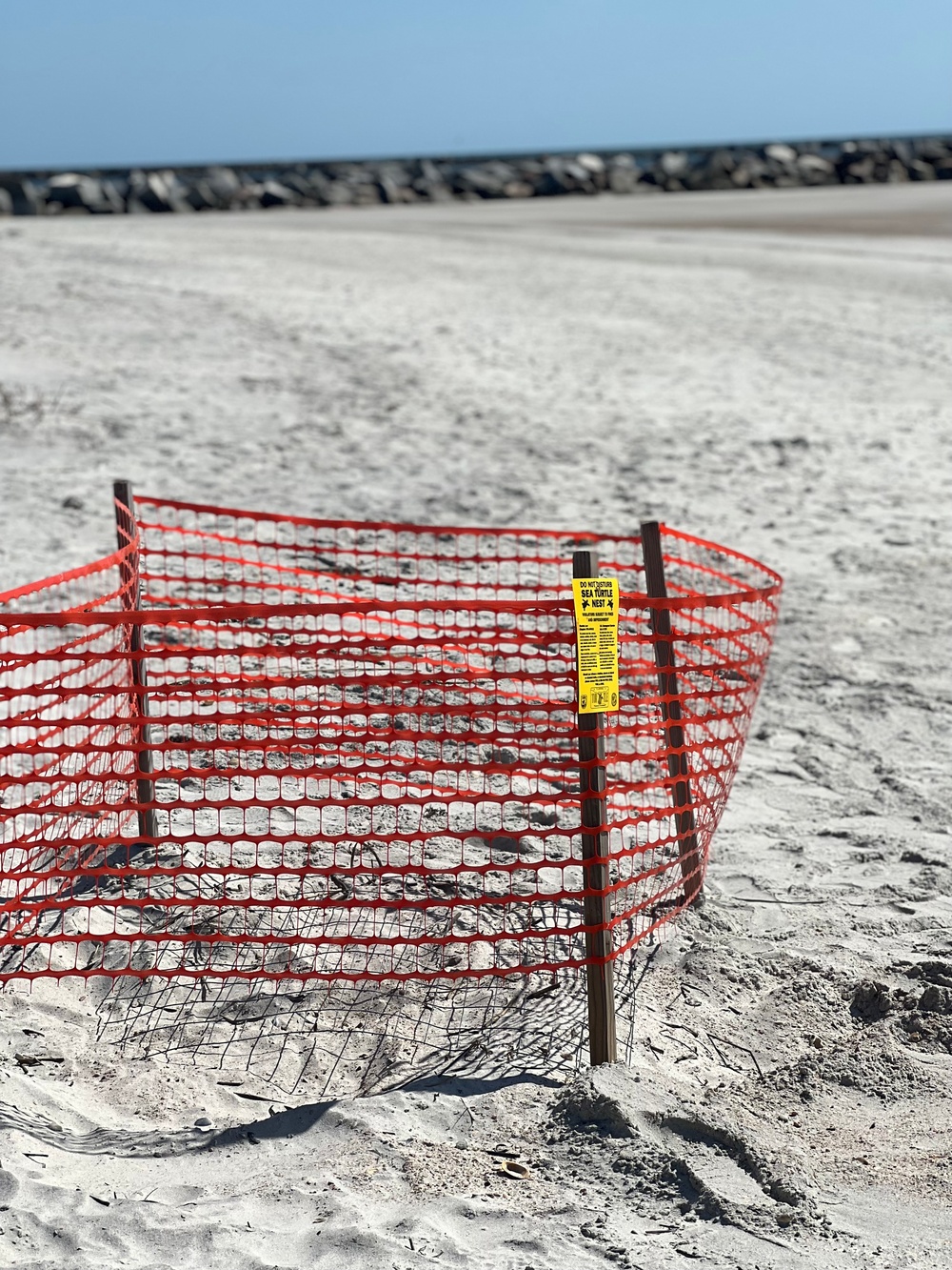 Sea Turtle Nest #17