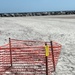 Sea Turtle Nest #17
