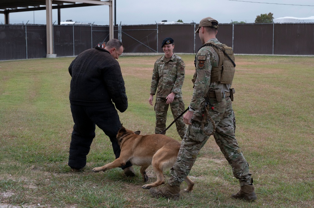 Military Working Dog training with Col. Prather