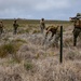 NMCB-5 completes Field Training Exercise