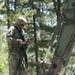 Timber Haul - Golden Coyote 22