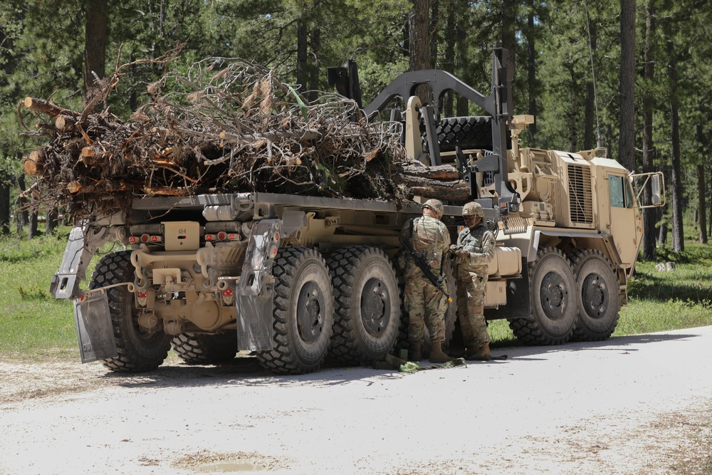Timber Haul - Golden Coyote 22
