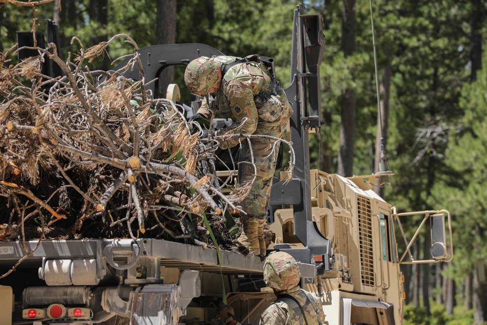 Timber Haul - Golden Coyote 22