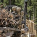 Timber Haul - Golden Coyote 22