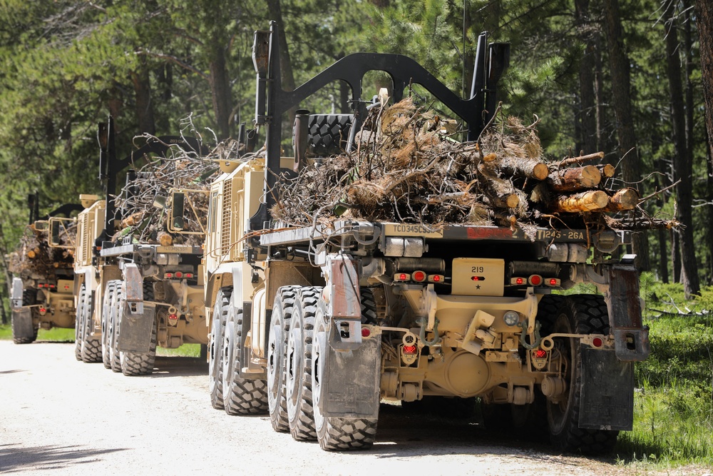 Timber Haul - Golden Coyote 22