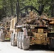 Timber Haul - Golden Coyote 22
