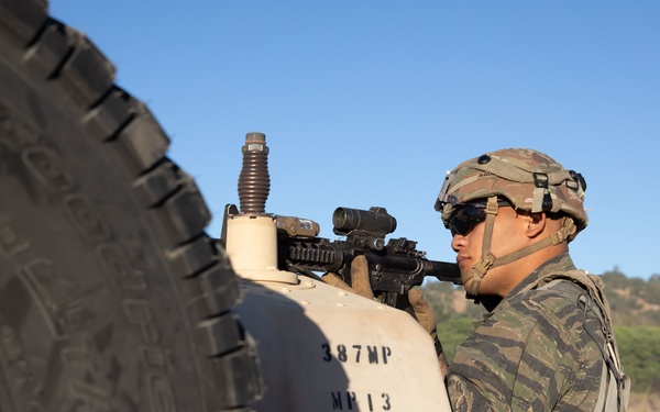 1-14 Cav provides OPFOR support to CSTX 91-22-01