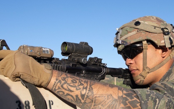 1-14 Cav provides OPFOR support to CSTX 91-22-01