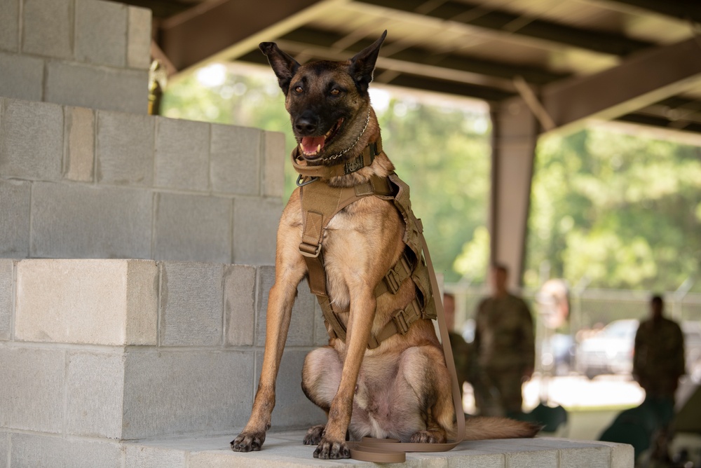 MWD TToby retires after 8 years of service