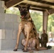 MWD TToby retires after 8 years of service