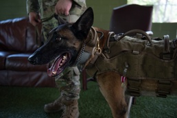 MWD TToby retires after 8 years of service