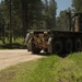 Timber Haul - Golden Coyote 22