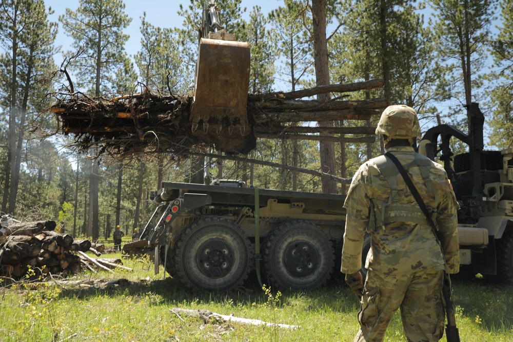 Timber Haul - Golden Coyote 22