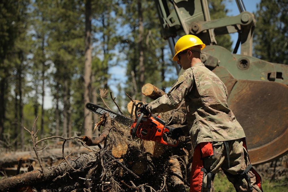 Timber Haul - Golden Coyote 22