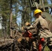 Timber Haul - Golden Coyote 22