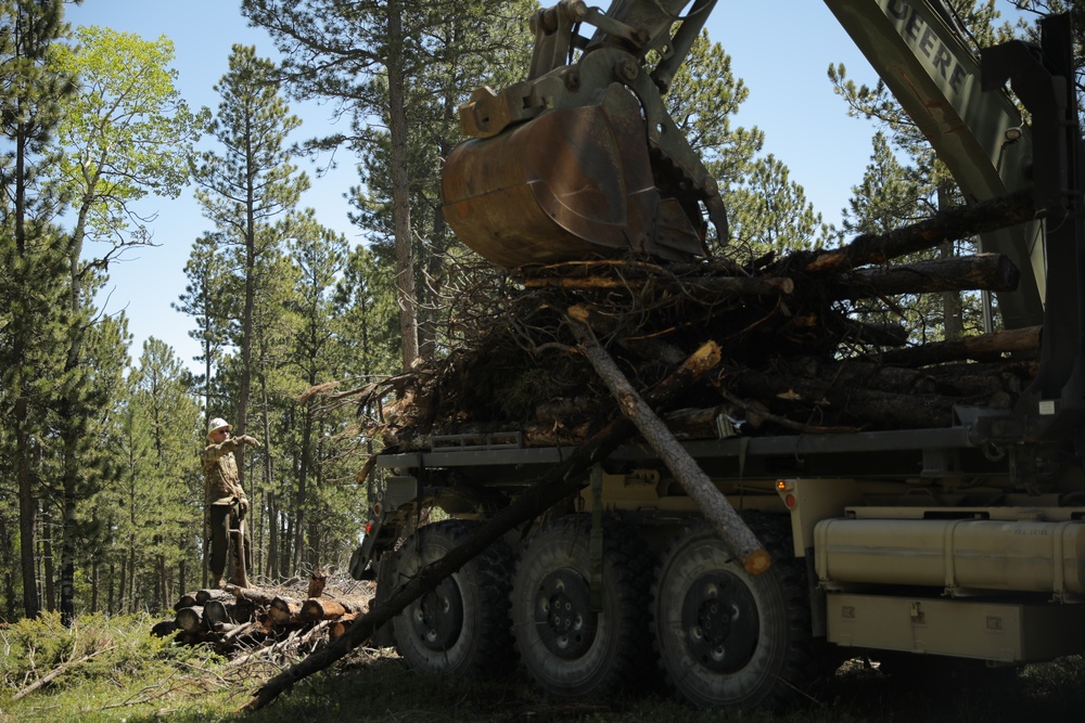 Timber Haul - Golden Coyote 22
