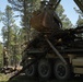 Timber Haul - Golden Coyote 22