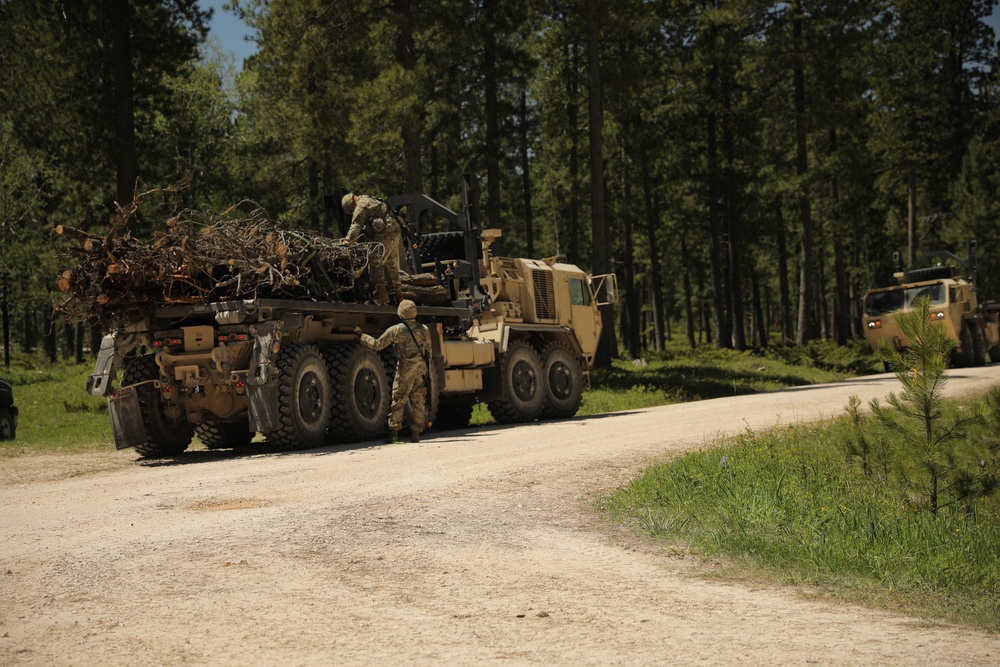Timber Haul - Golden Coyote 22