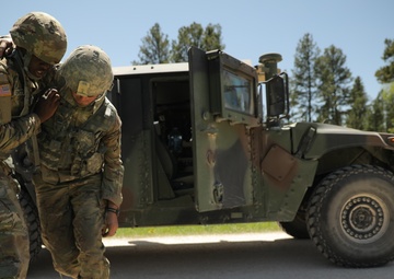 Timber Haul - Golden Coyote 22