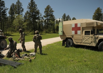 Timber Haul - Golden Coyote 22